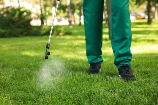 Best Mosquito Control Services  in Seward, NE