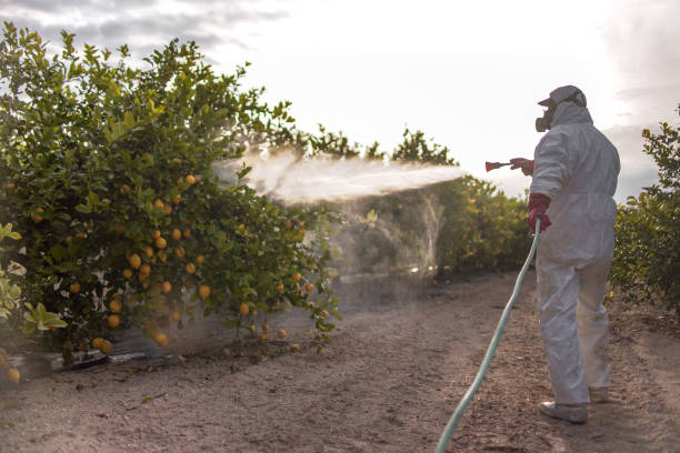 Best Flea Control Services  in Seward, NE