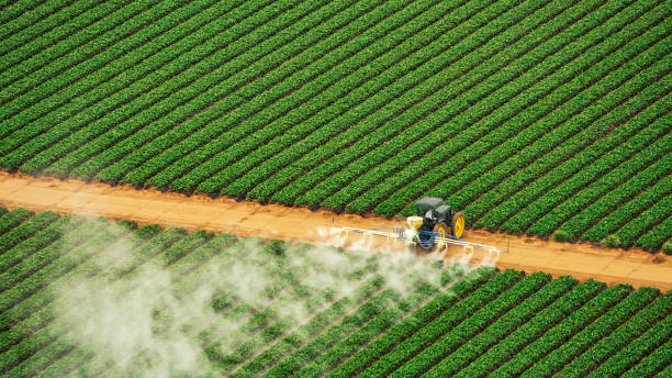 Best Best Pest Control Companies  in Seward, NE