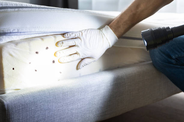 Best Best Pest Control Companies  in Seward, NE