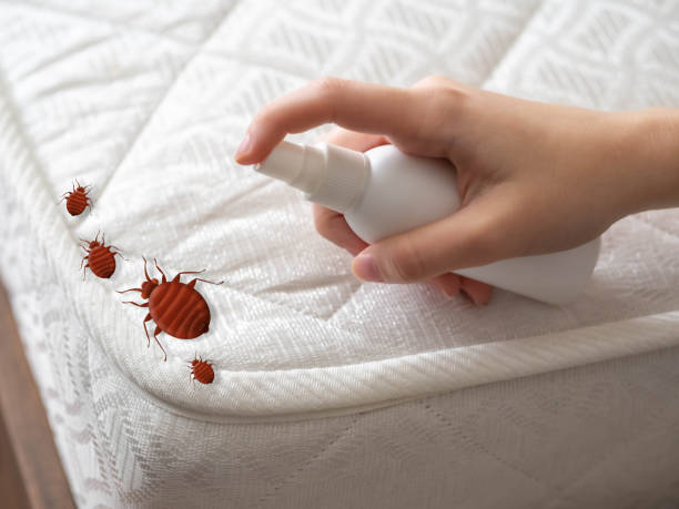 Best Residential Pest Control  in Seward, NE