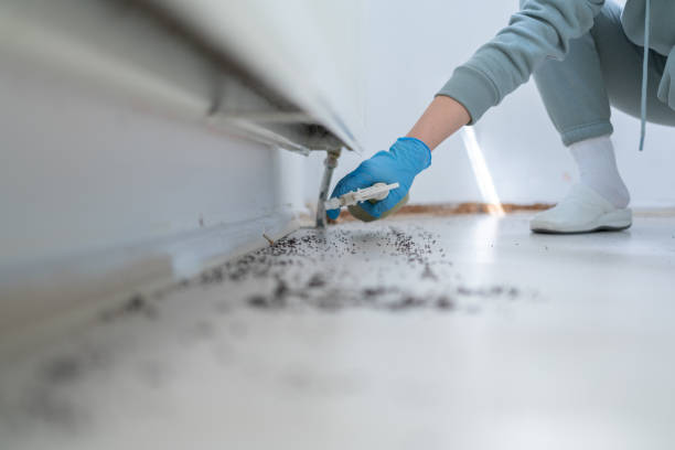 Best Affordable Pest Control Services  in Seward, NE